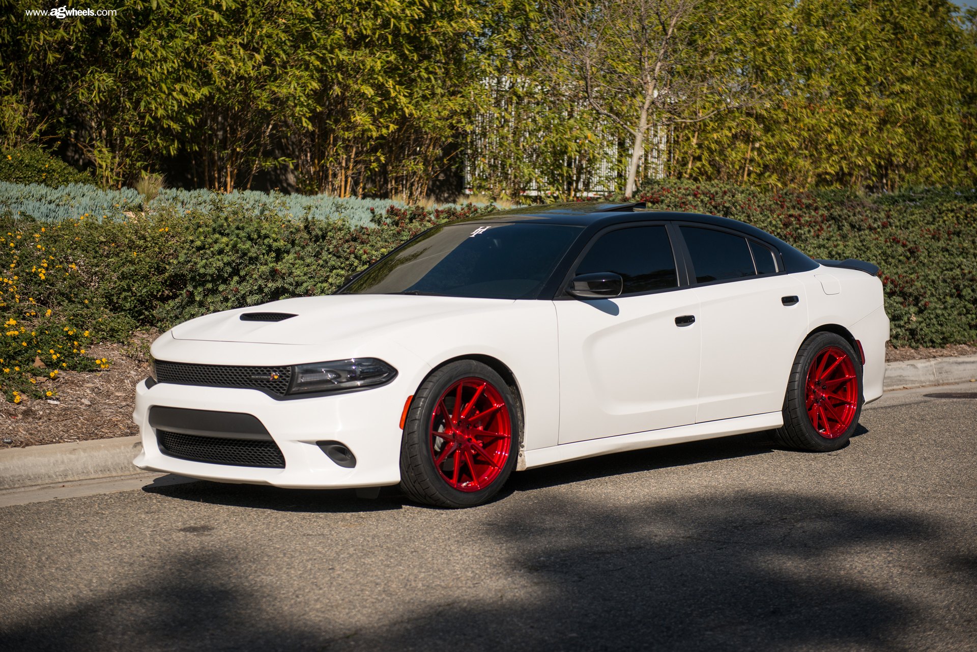 White Dodge Charger with Custom Mesh Grille - Photo by Avant Garde Wheels