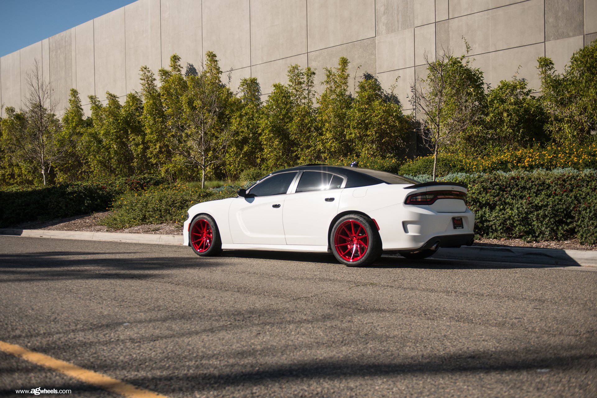 White Dodge Charger with Aftermarket Rear Spoiler - Photo by Avant Garde Wheels
