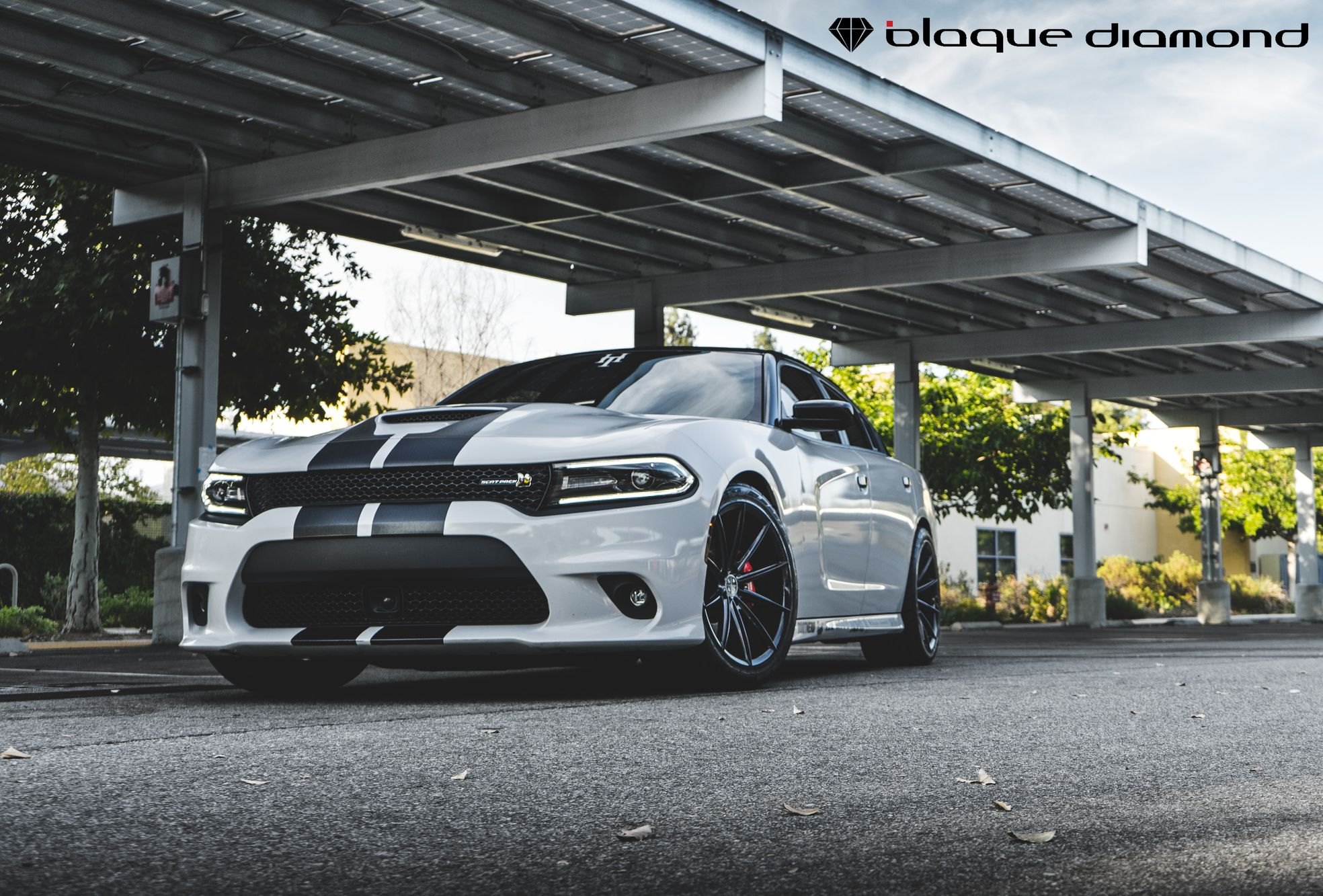 Custom White Dodge Charger with Black Stripes - Photo by Blaque Diamond