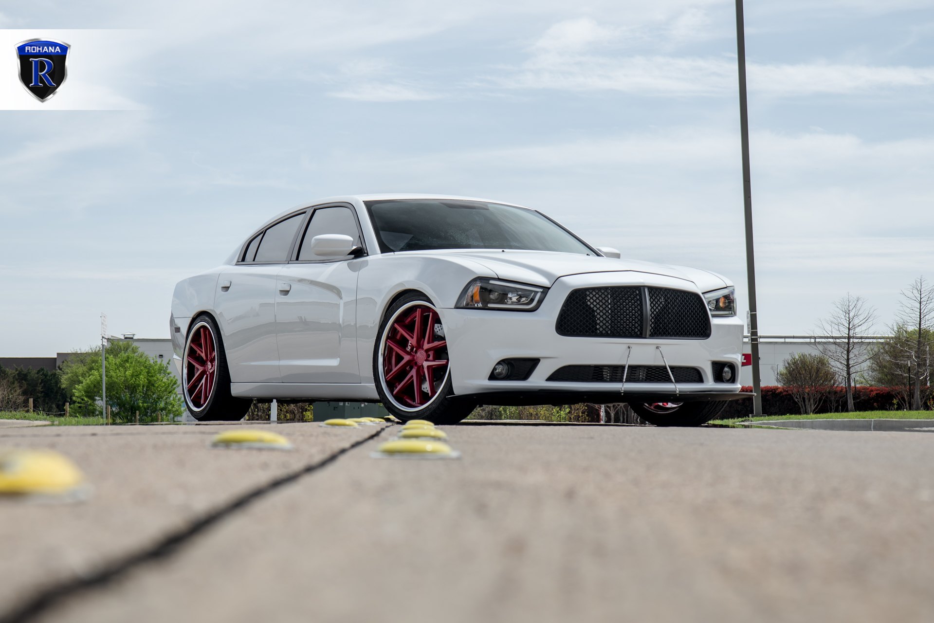 Blacked Out Mesh Grille on White Dodge Charger - Photo by Rohana Wheels