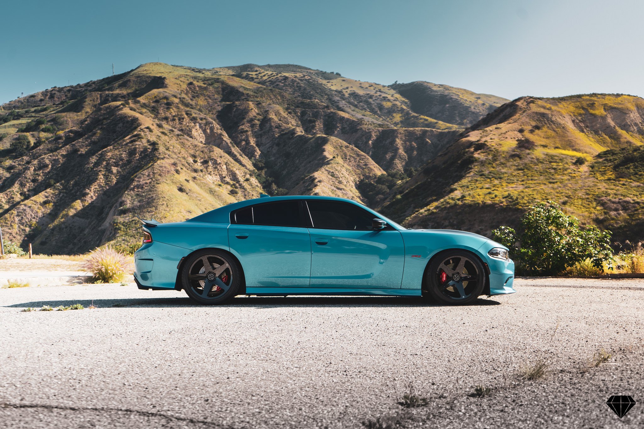 Turquoise Dodge Charger with 20 Inch Blaque Diamond Wheels - Photo by Blaque Diamond Wheels