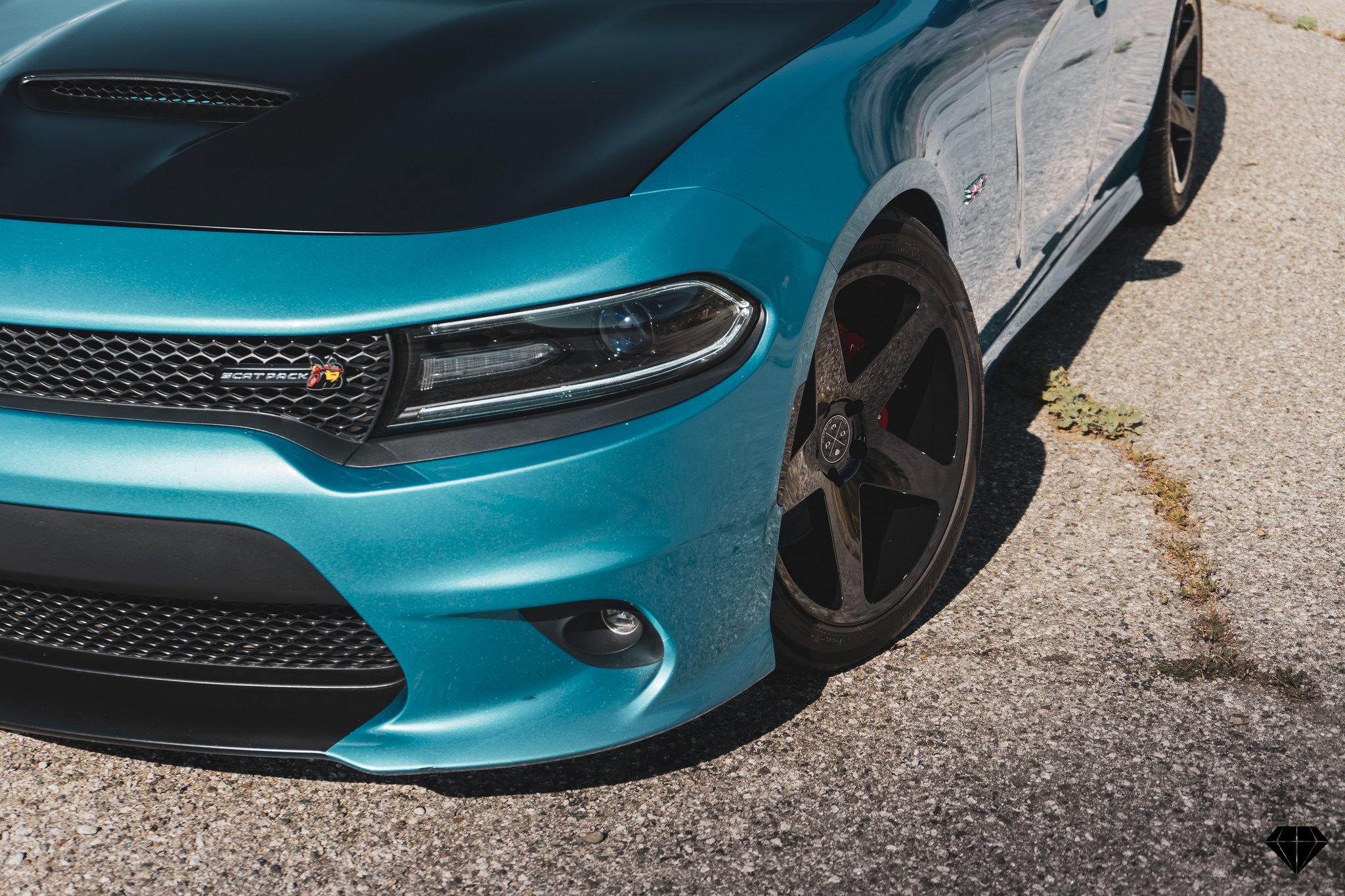 Blacked Out Mesh Grille on Turquoise Dodge Charger - Photo by Blaque Diamond Wheels