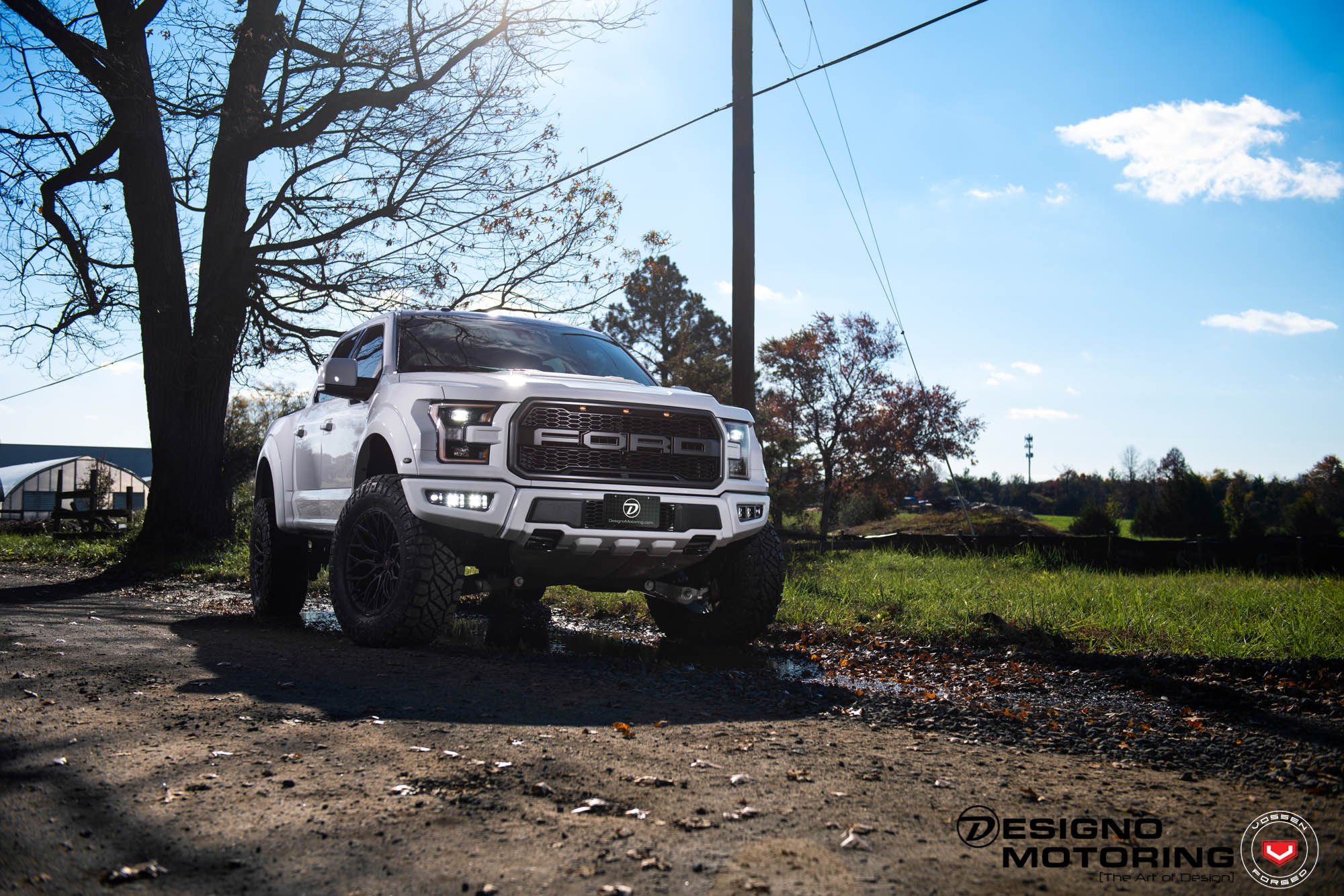 White Ford F-150 with Custom Mesh Grille - Photo by Vossen Wheels