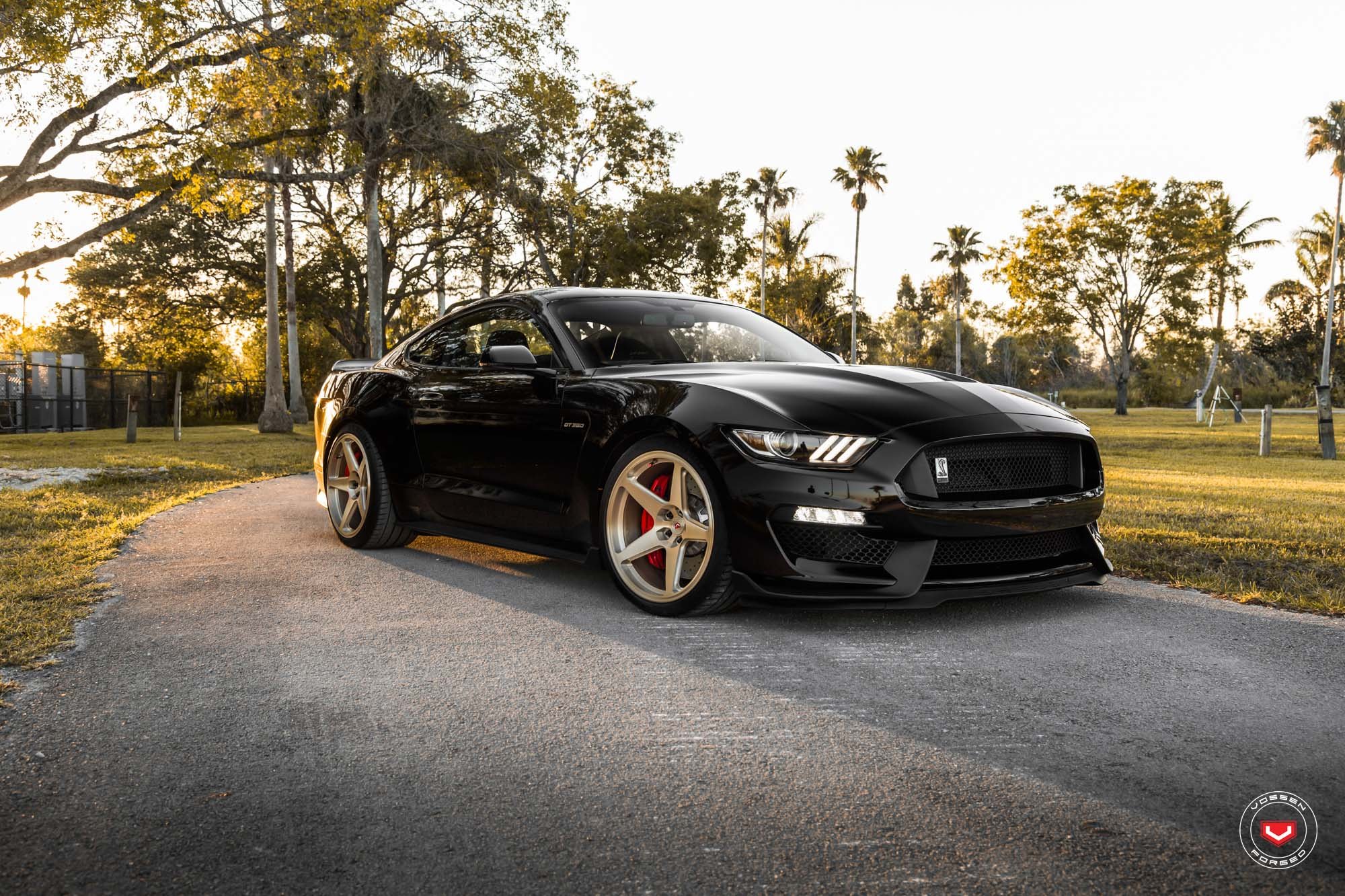 Black Ford Mustang GT350 with Custom Mesh Grille - Photo by Vossen