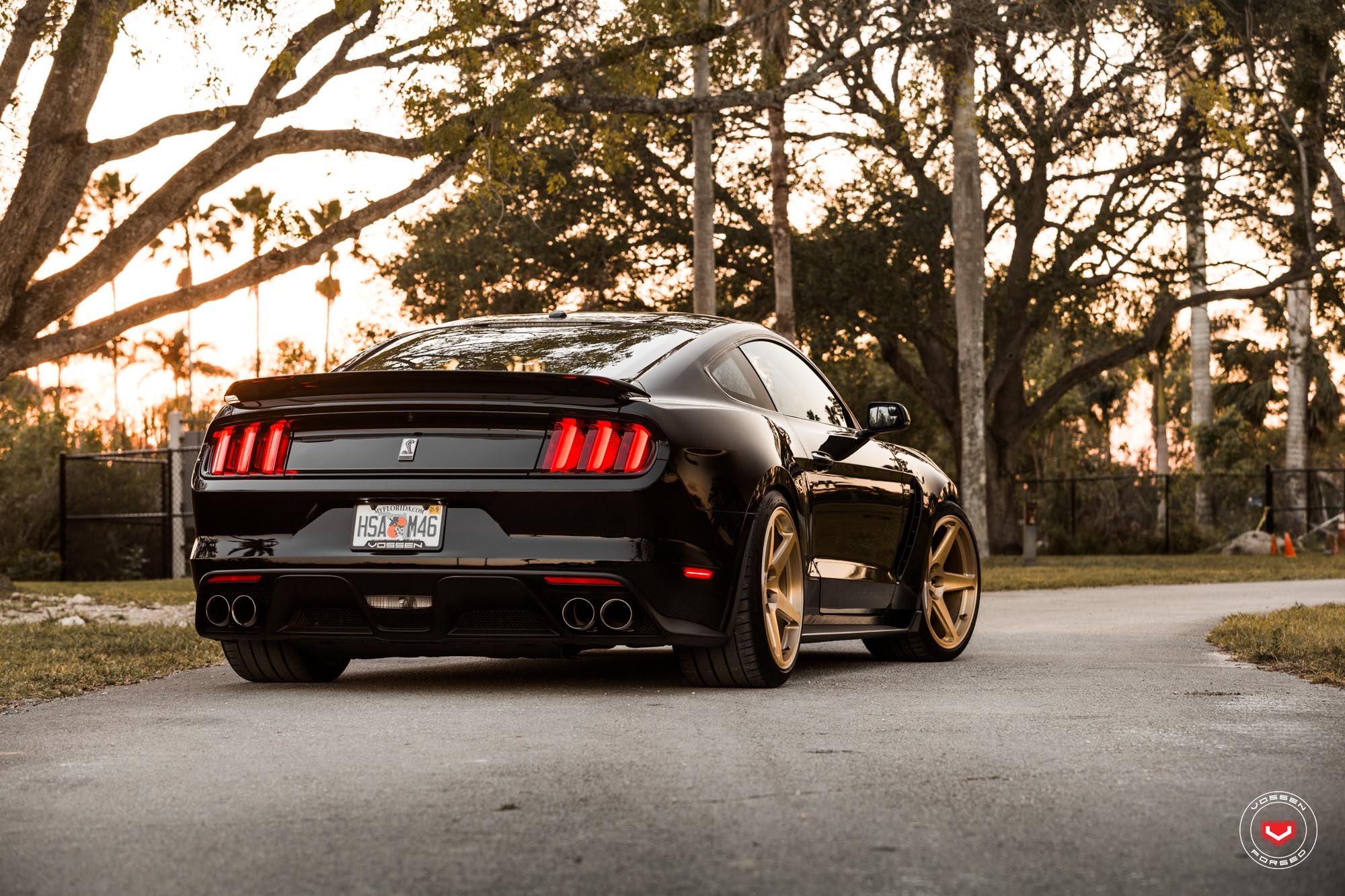 Aftermarket Rear Diffuser on Black Ford Mustang GT350 - Photo by Vossen