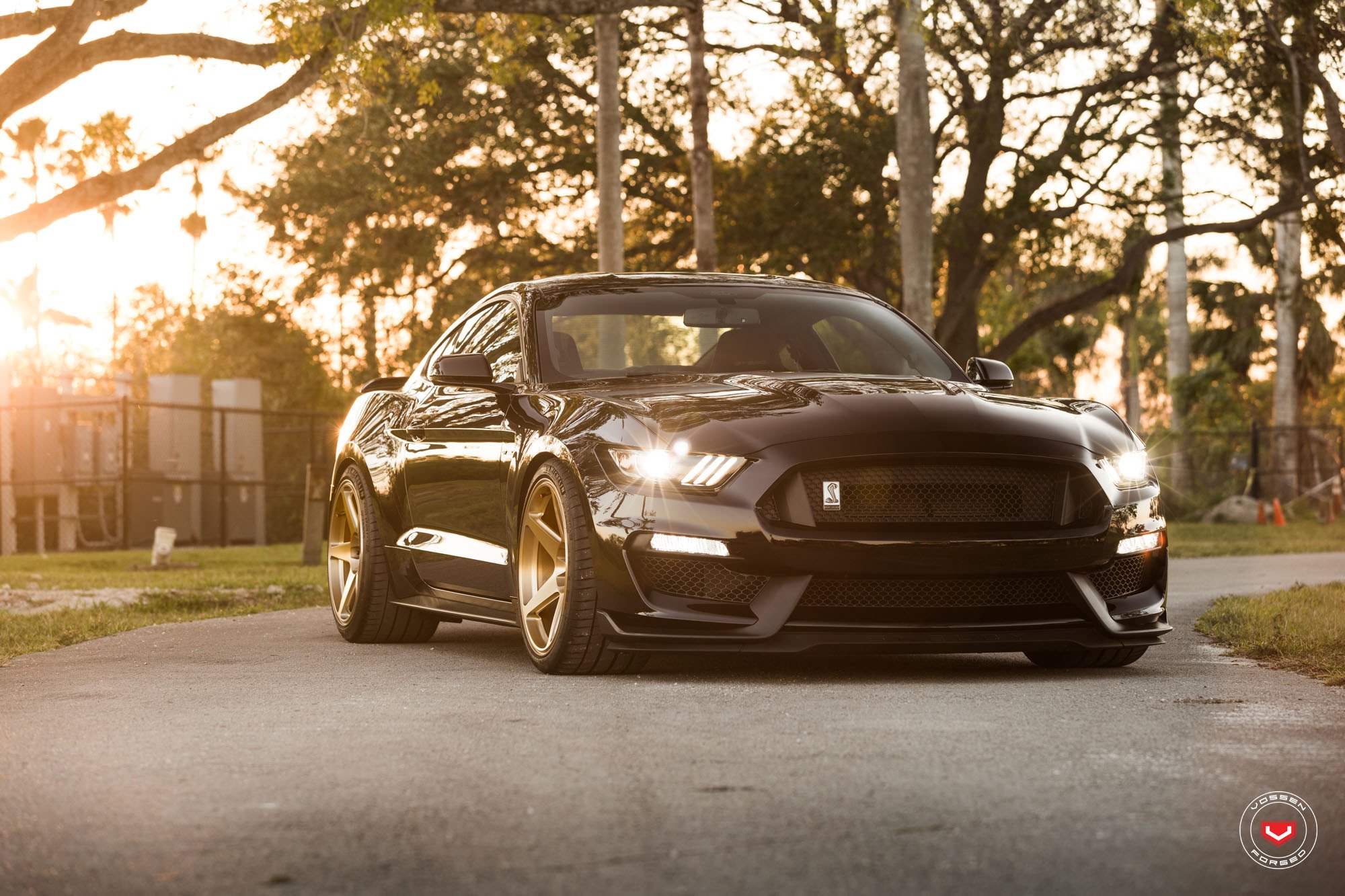 Black Ford Mustang GT350 with Custom Headlights - Photo by Vossen