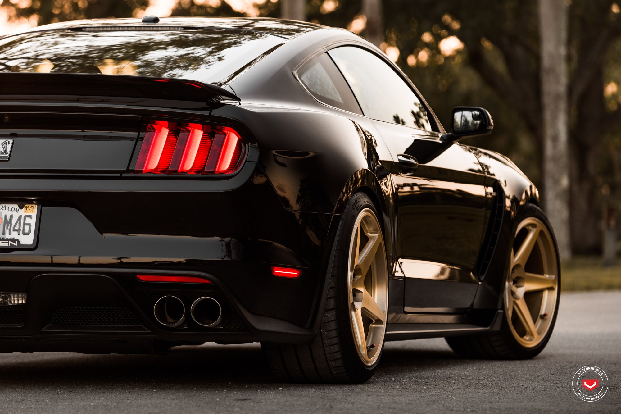 Aftermarket Rear Spoiler on Black Ford Mustang GT350 - Photo by Vossen