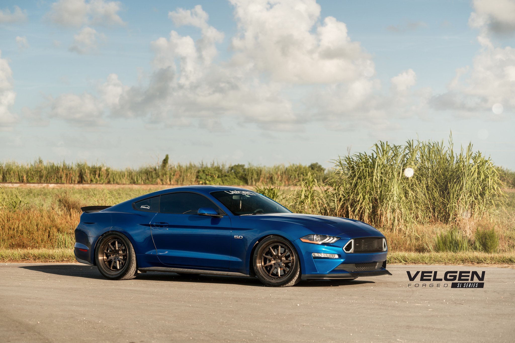 Blue Ford Mustang GT 5.0 Side Skirts - Photo by Velgen Wheels