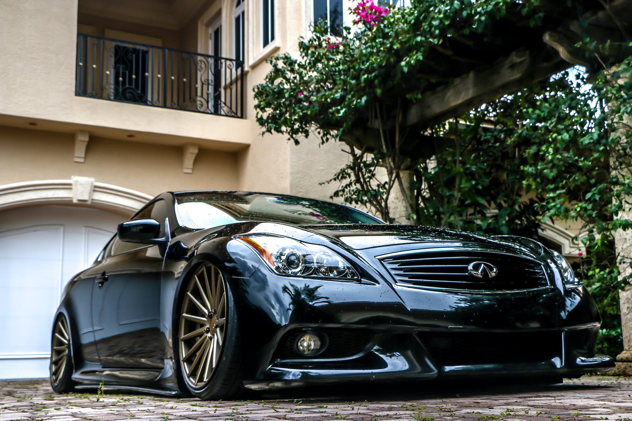 Front Bumper with Fog Lights on Black Infiniti G37 - Photo by Brian McCarthy