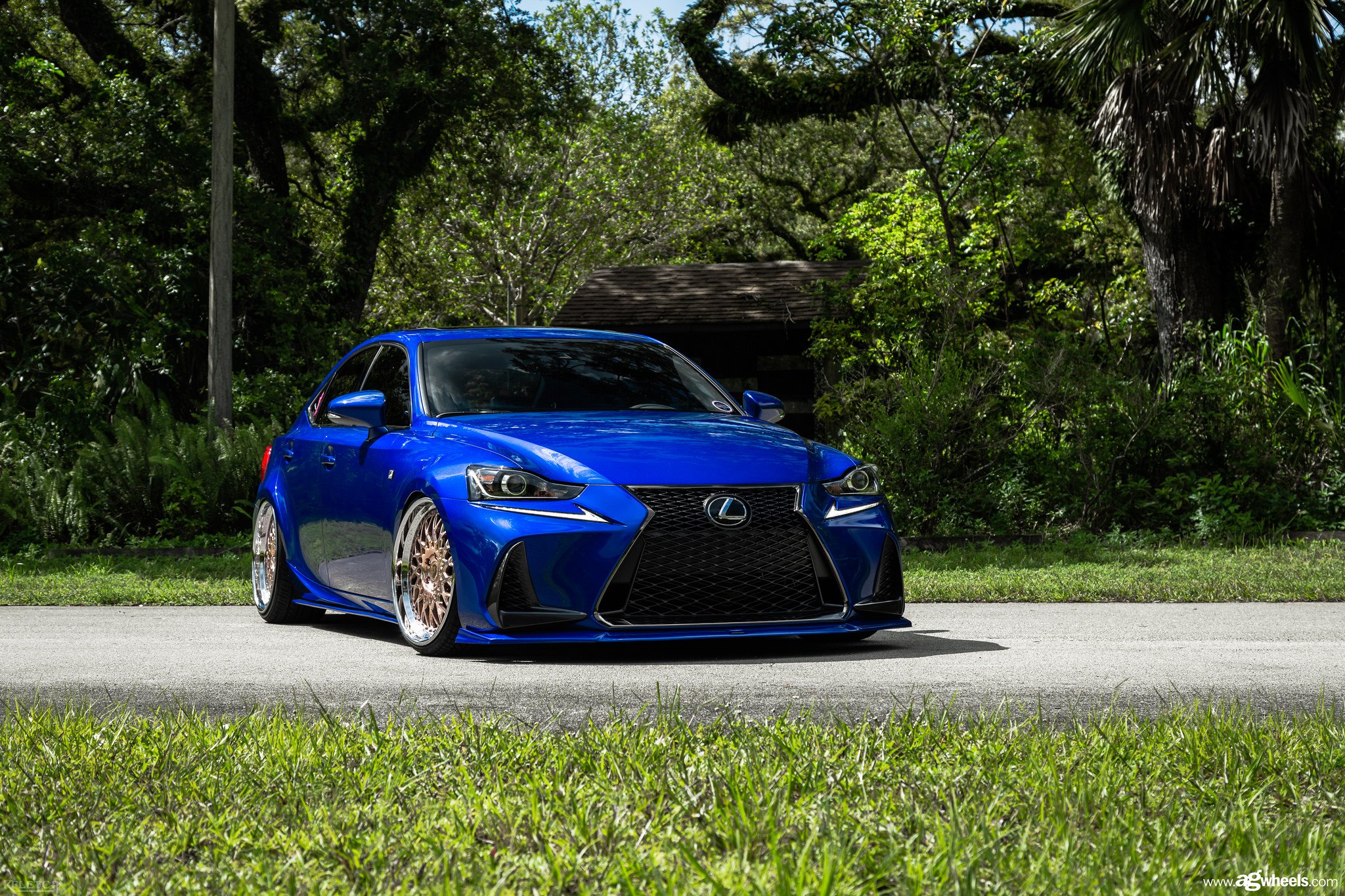 Blue Lexus IS with Blacked Out Mesh Grille - Photo by Avant Garde Wheels
