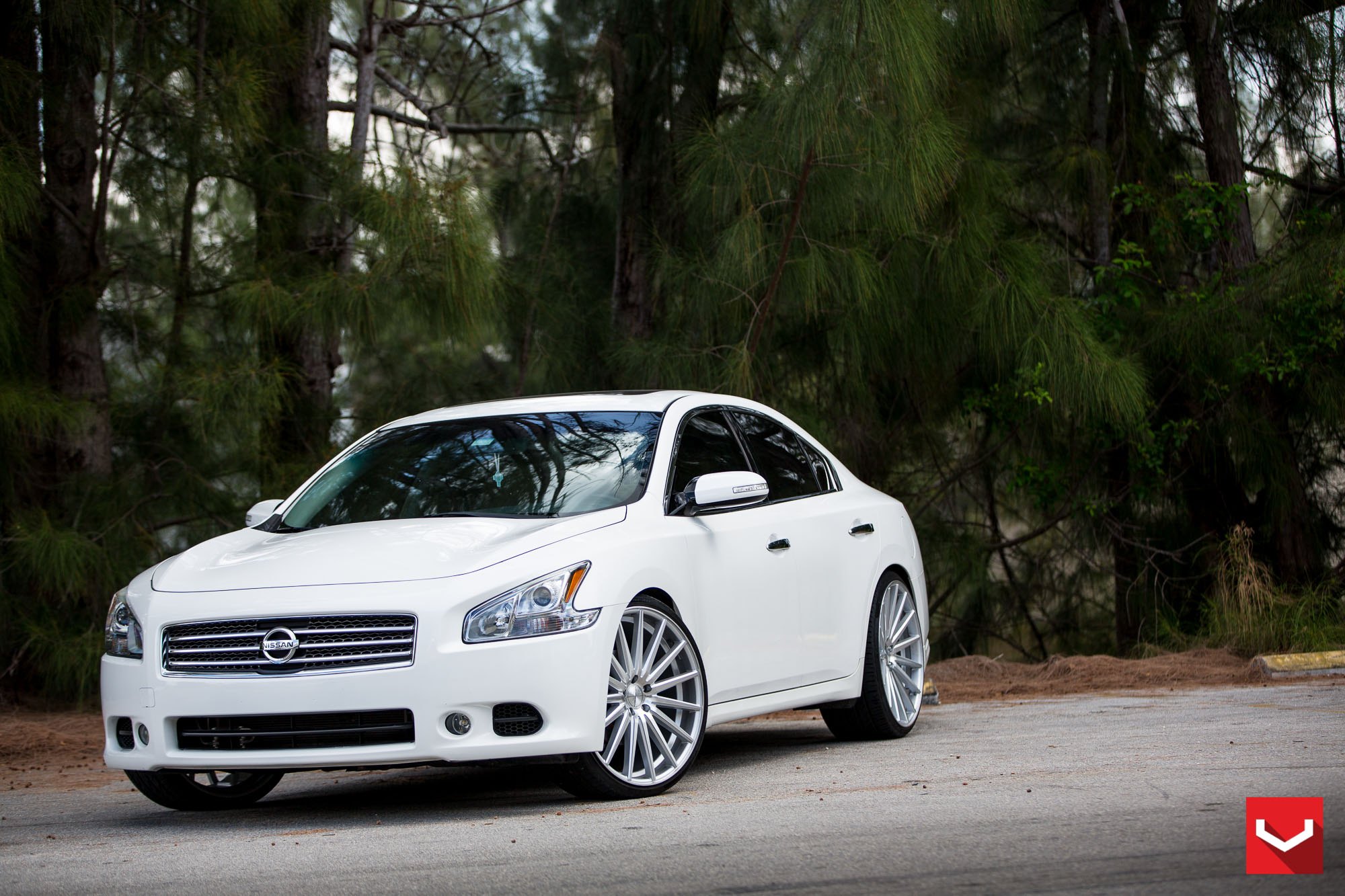White Nissan Maxima with Chrome Grille - Photo by Vossen